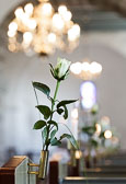 20130518_Pernille_og_Tommys_bryllup_0069.jpg