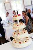 20140607-Janne-og-Peters-bryllup-1150.jpg