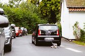 20160820-Trine-og-Esbens-bryllup-Djursland-0920.jpg