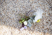 20160910-Christina-og-Jeppes-bryllup-Henne-Strand-0473.jpg