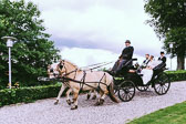 20170610-Hanna-and-Bjorn-wedding-in-Hobro-0977.jpg